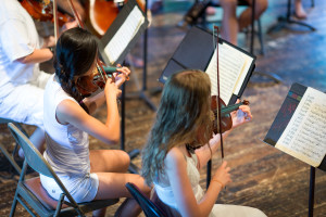 How Students Learn Self-Efficacy Through Instrumental Music Instruction ·